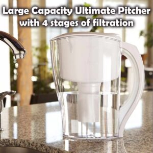 Portable water filter and purifier