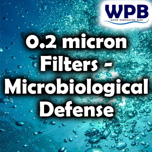 Unleashing the Power of 0.2 Micron Filters in Water Purification Systems: Everything You Need to Know